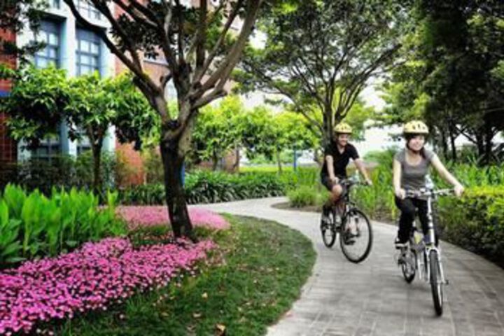 Spa and Wellness Pictures