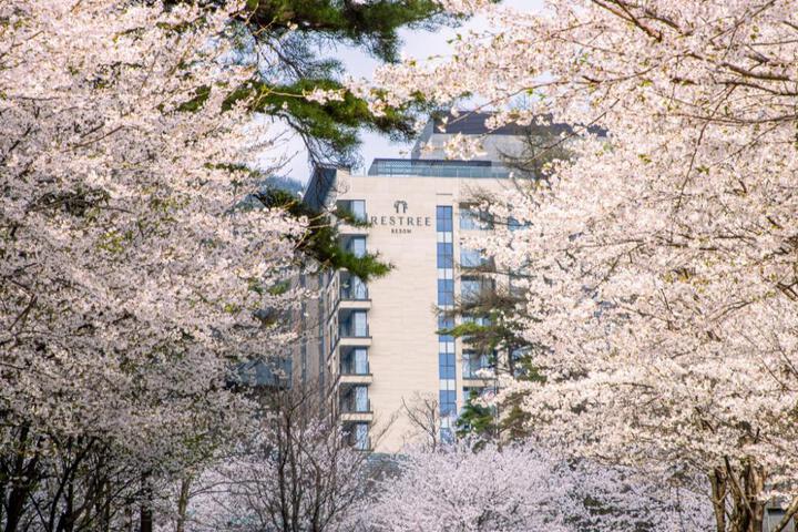 General 34 of 50
