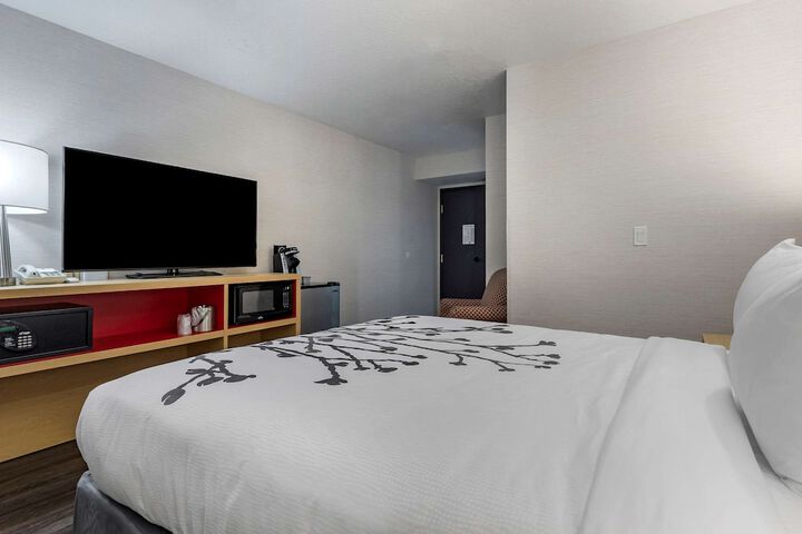 Room 6 of 37