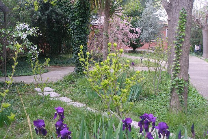 Property Grounds 50 of 74