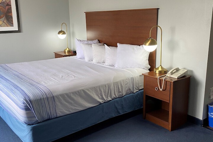 1 King Bed 1 Bedroom Suite (7 of 13)