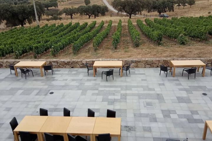 Terrace/Patio 40 of 41