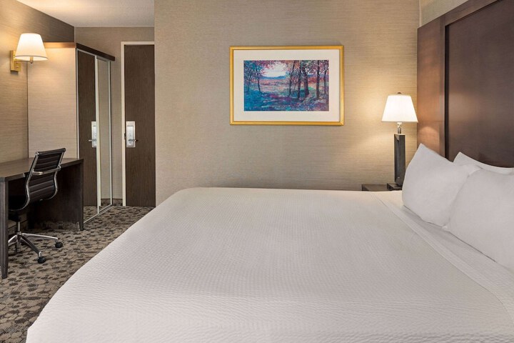 Deluxe King Bed (1 of 9)