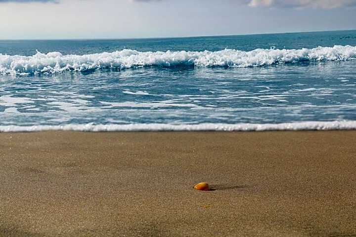 General 42 of 47