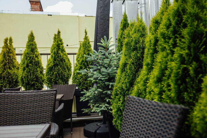 Terrace/Patio 82 of 87
