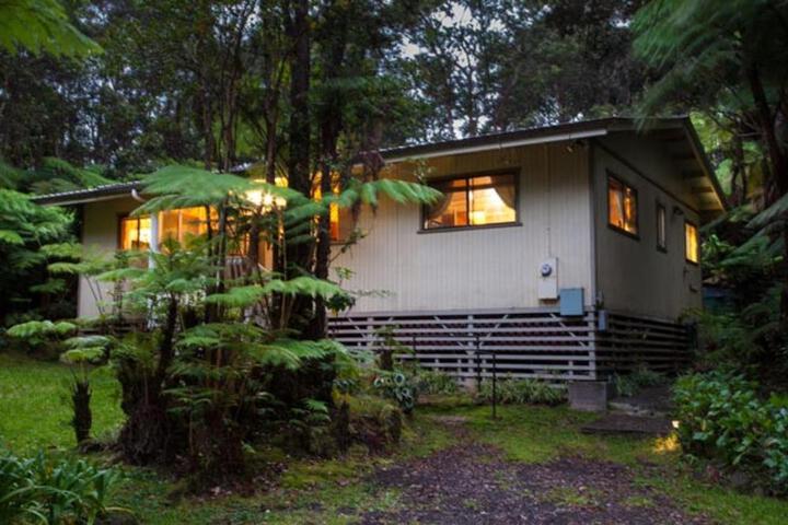 Image of Cymbidium House Volcano Village by Casago Kona - Fun!