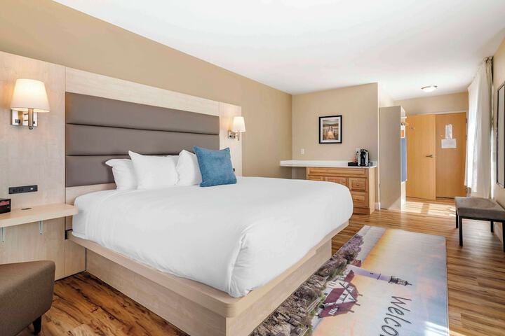 1 King Bed (11 of 13)