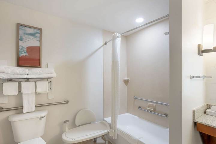 Suite King Bed Accessible (21 of 27)