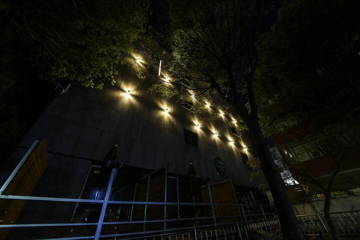 Photo 19