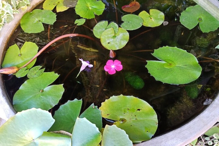 Spa and Wellness Pictures