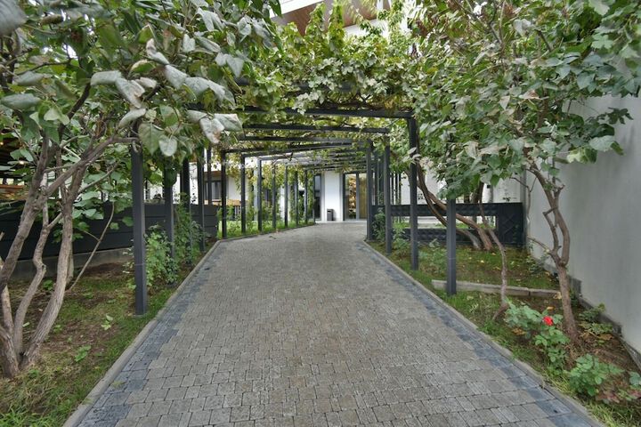 Terrace/Patio 41 of 61