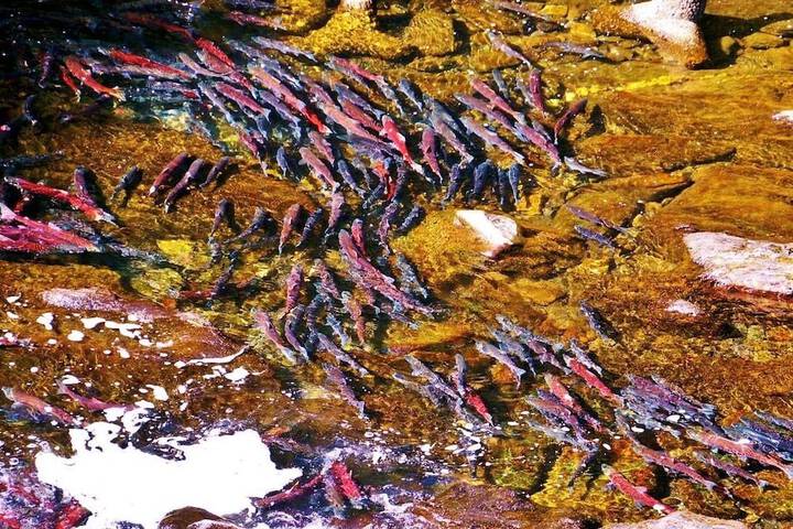 Hotel Interior 35 of 57