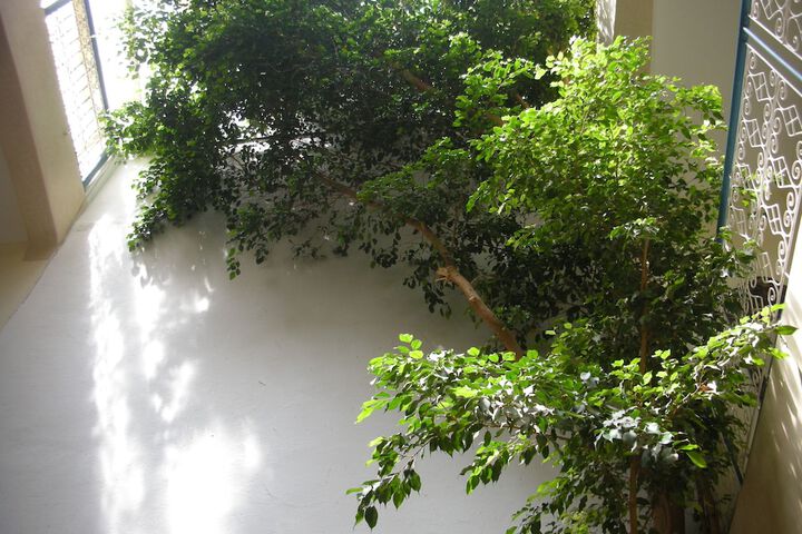 DAR RAHA