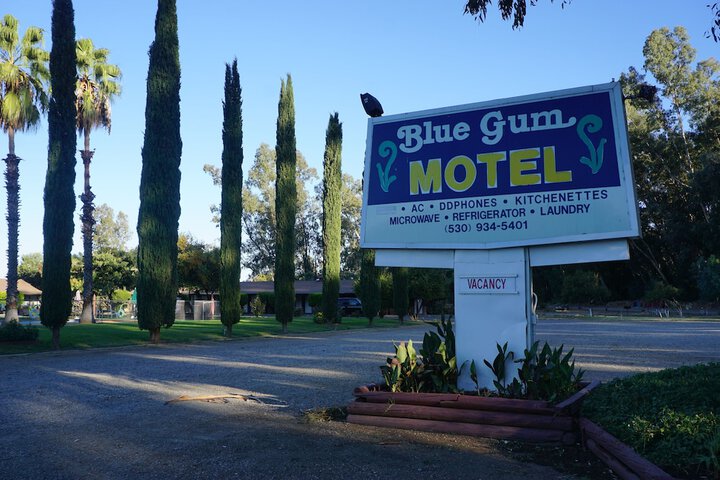Blue Gum Motel in Willows, CA