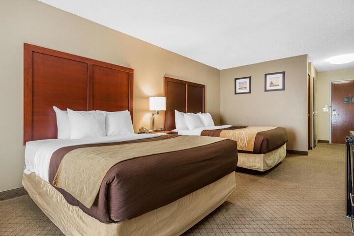 Standard | King Bed (3 of 22)