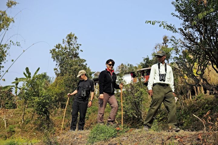Hiking