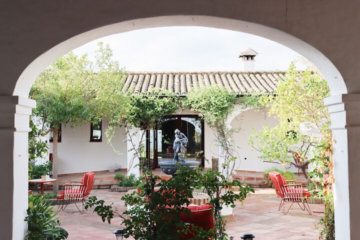 Terrace/Patio 34 of 43