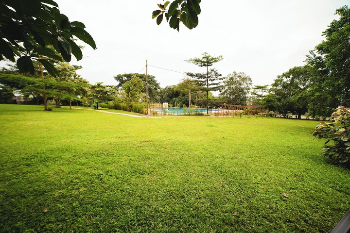 Property Grounds 19 of 24