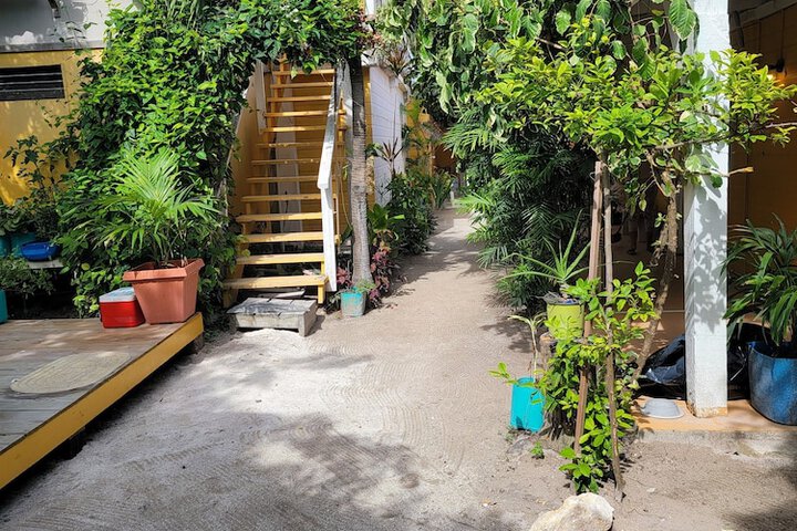 Terrace/Patio 15 of 30