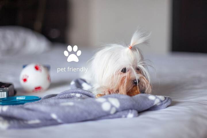 Pet-friendly
