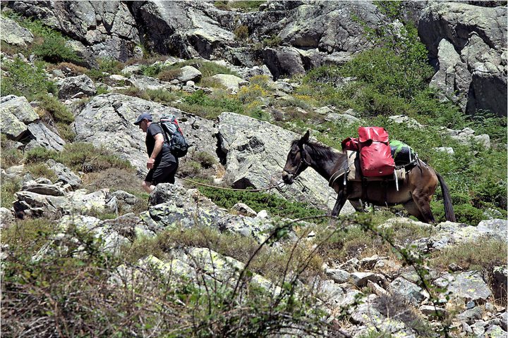 Hiking