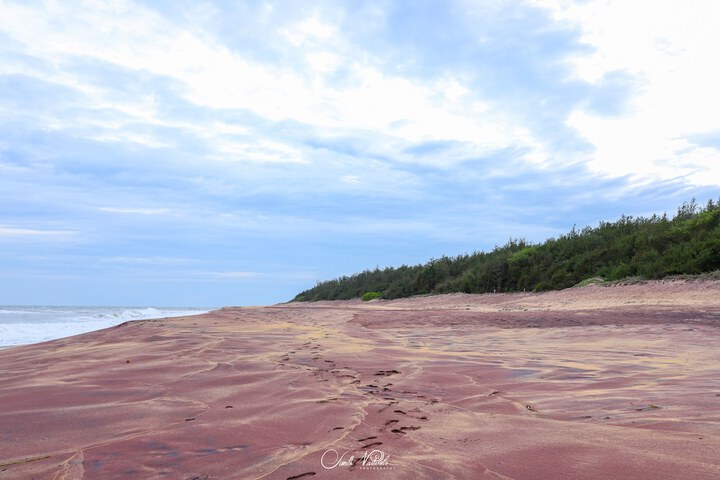 Beach 19 of 36