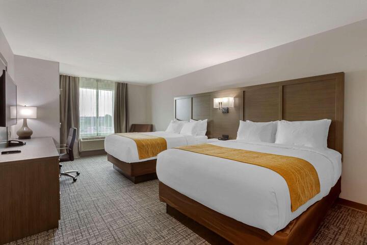 2 Queen Beds (2 of 7)