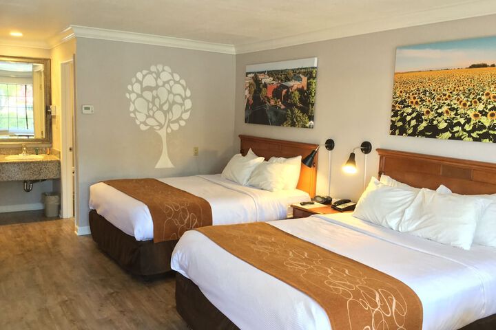 2 Queen Beds (2 of 23)