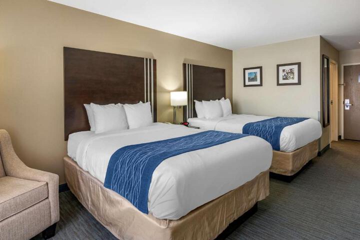 2 Queen Beds (3 of 11)