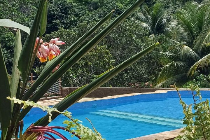 Pool 52 of 80