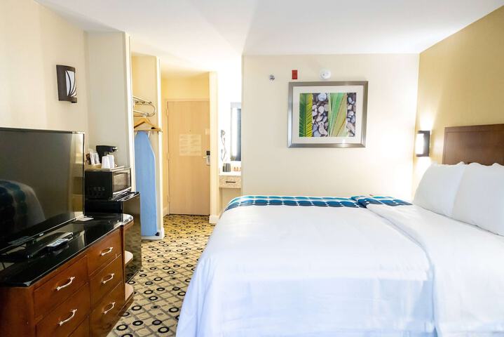1 King Bed (7 of 10)