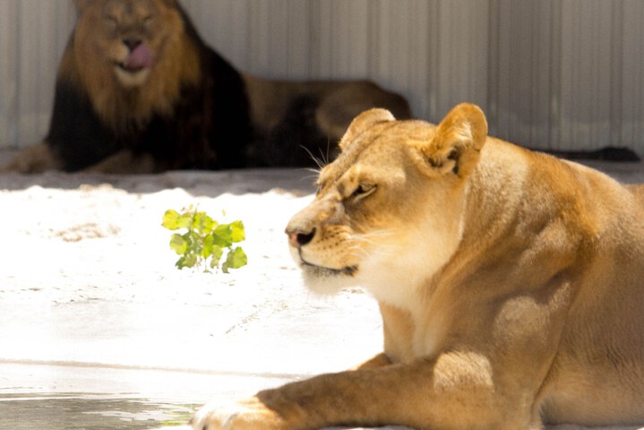 Childrens Activities 114 of 140