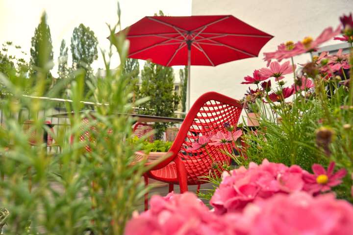 Terrace/Patio 32 of 34