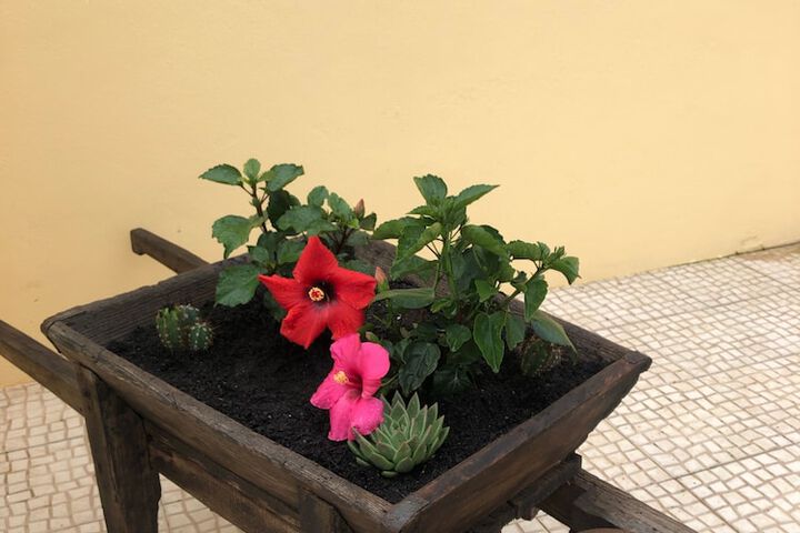 Terrace/Patio 46 of 67