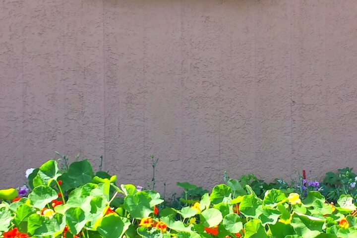 Property Grounds 45 of 47