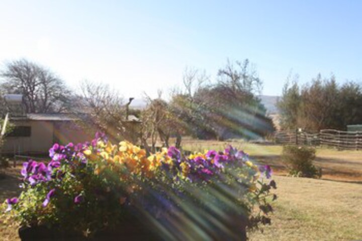 Hotel Exterior 6 of 22