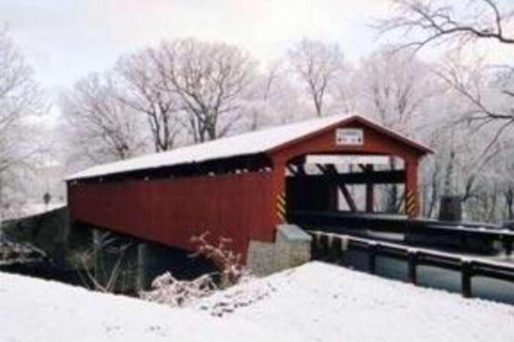 Photo 16