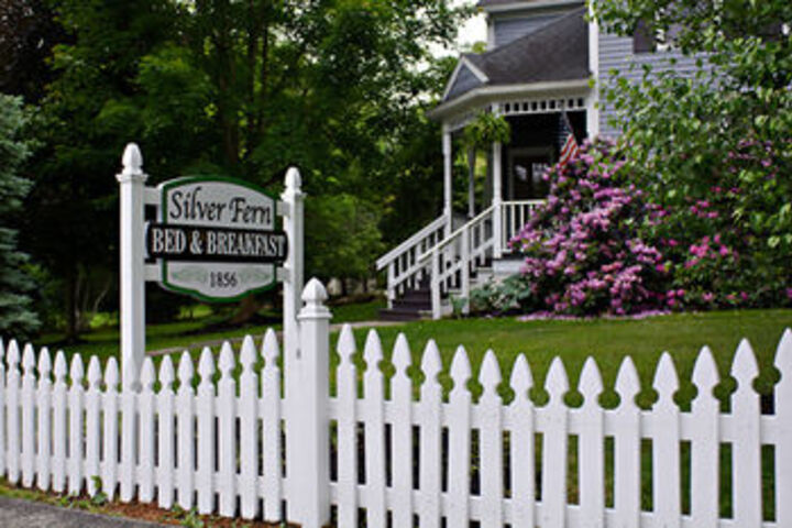 Silver Fern Bed and Breakfast