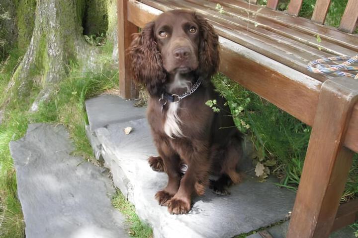 Spa and Wellness Pictures