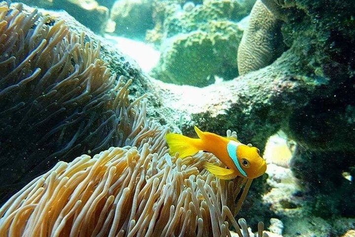 Raabade Maldives