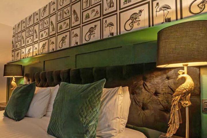 Spa and Wellness Pictures