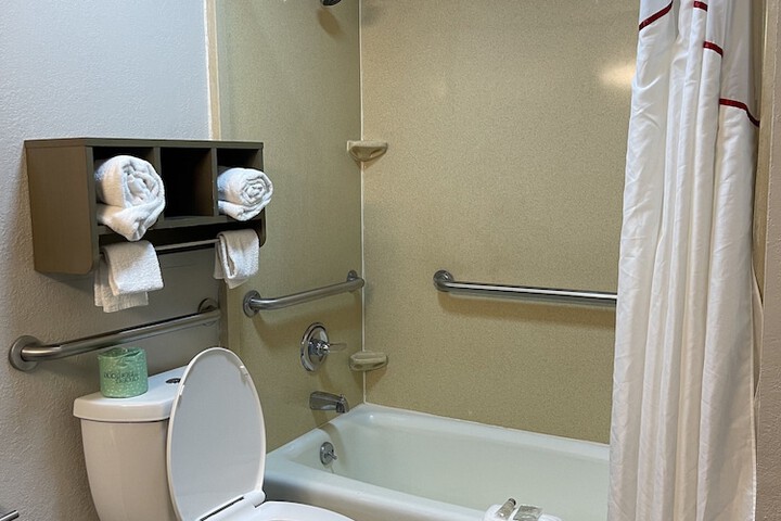ADA Accessible Deluxe King with Roll in Shower (9 of 19)