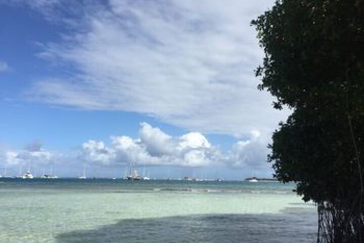 Beach 9 of 48