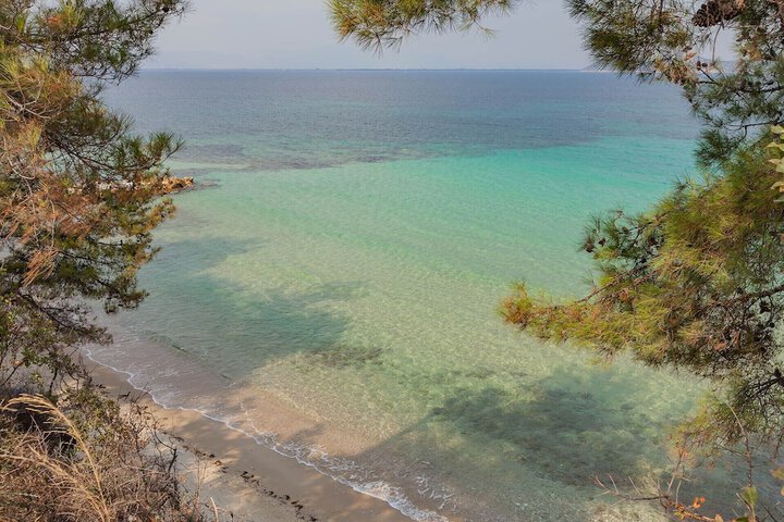 Beach 46 of 61