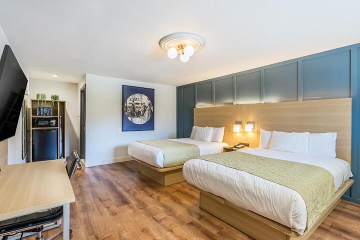 2 Double Beds (10 of 10)