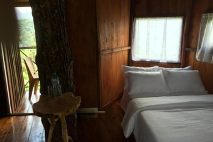 The Tree House
