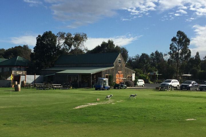 Golf 15 of 26