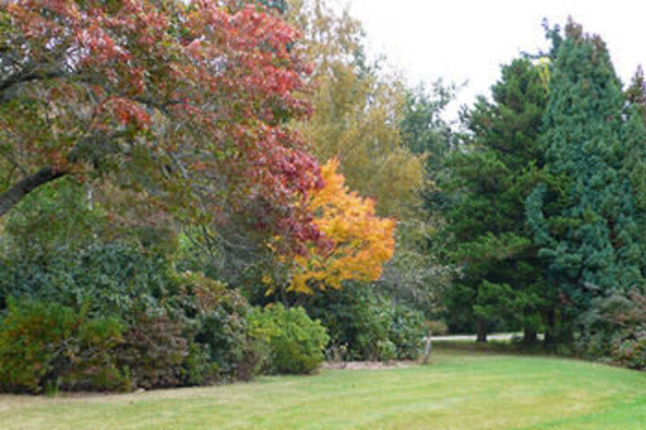 Property Grounds 31 of 32