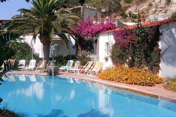 Hotel with Pool