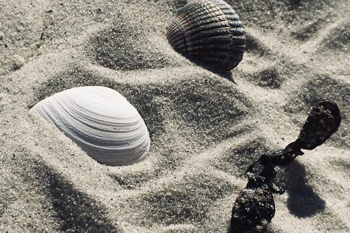 Beach 93 of 106